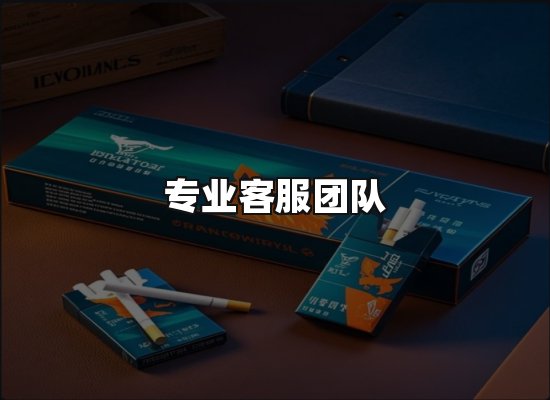 专业优势